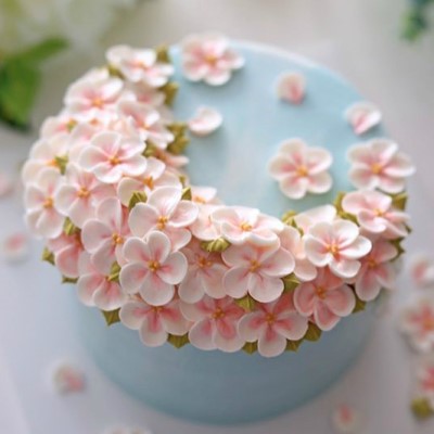 Sakura Blossom Cake